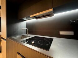 3 Cuscaden (D10), Apartment #477548121